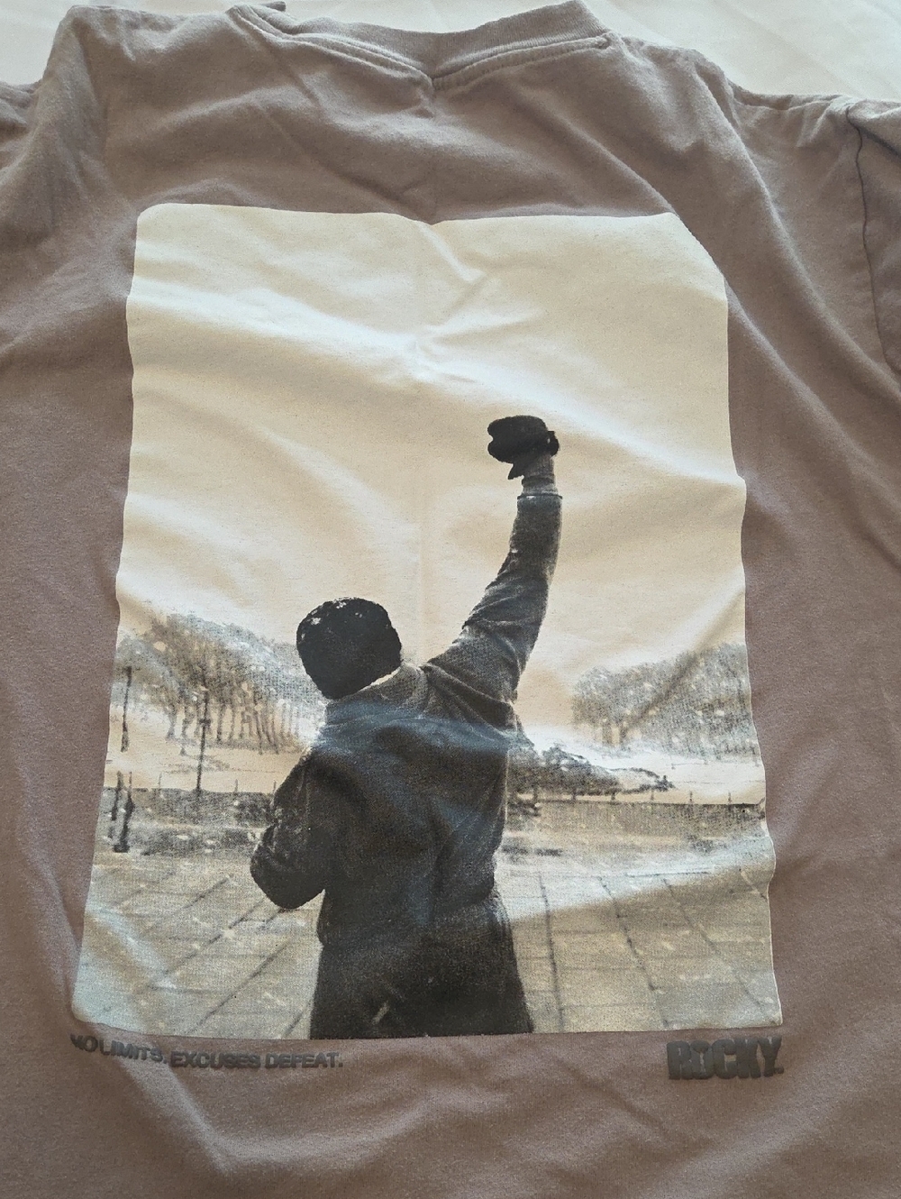 Rocky Graphic Men’s T-Shirt in Taupe with Victory Print